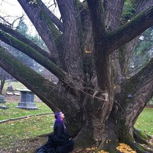 Meet your Posher, Pandora